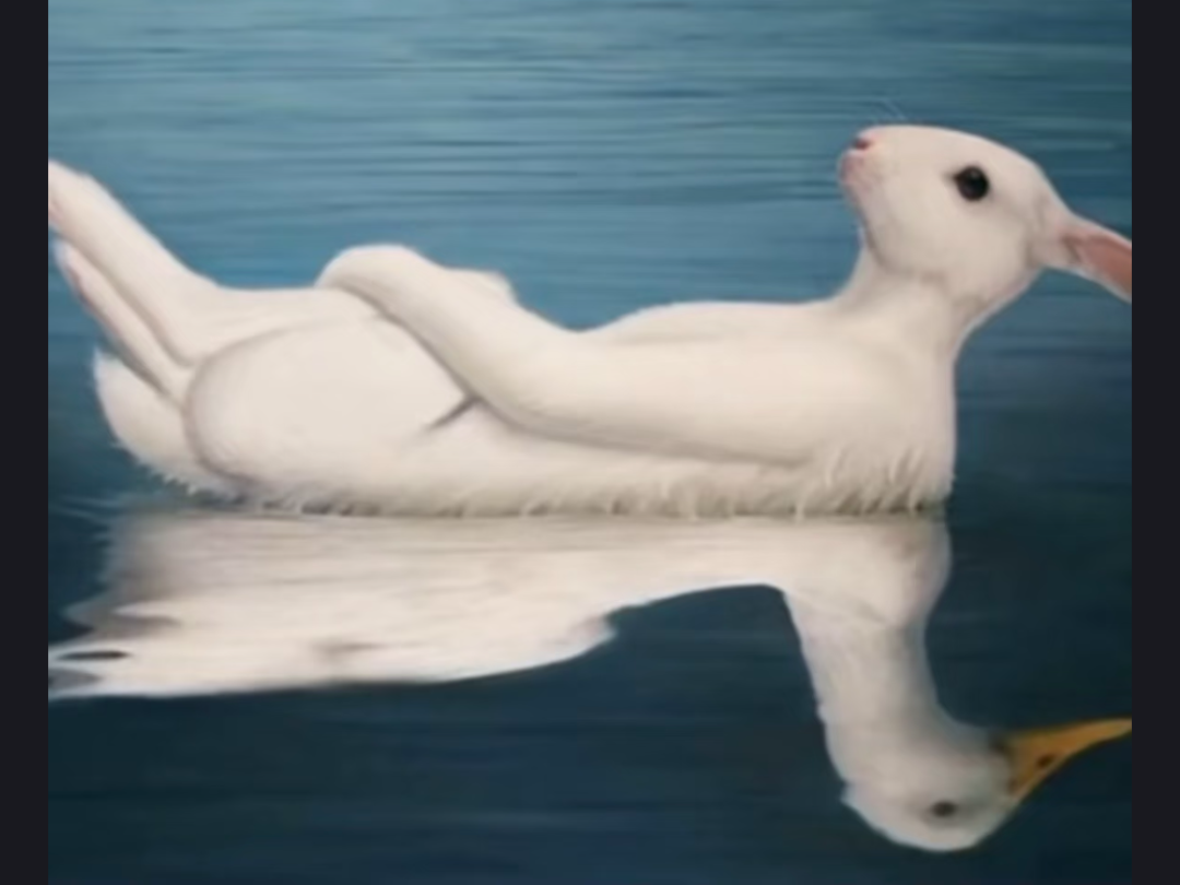 兔子鸭子视觉错觉图